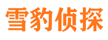 宁陵外遇调查取证